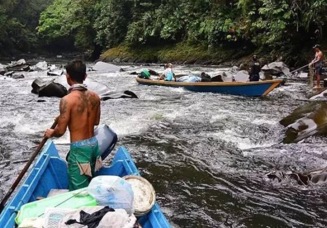 特供|亚洲最贵的“特供鱼”一口鱼肉要600元,名字在中国很霸气
