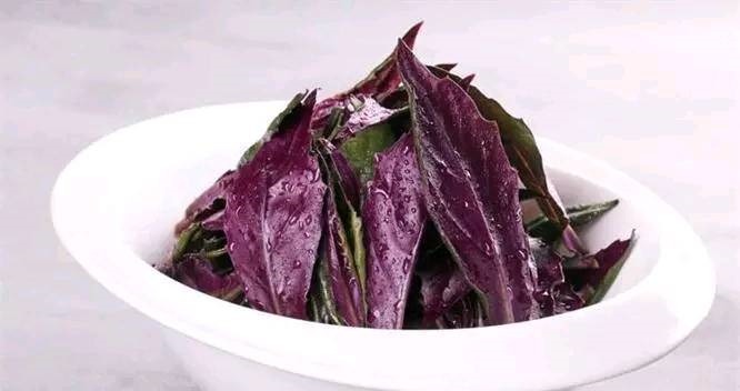 消化|聪明女性常吃此食物,能润肠通便,帮助消化,早吃早好