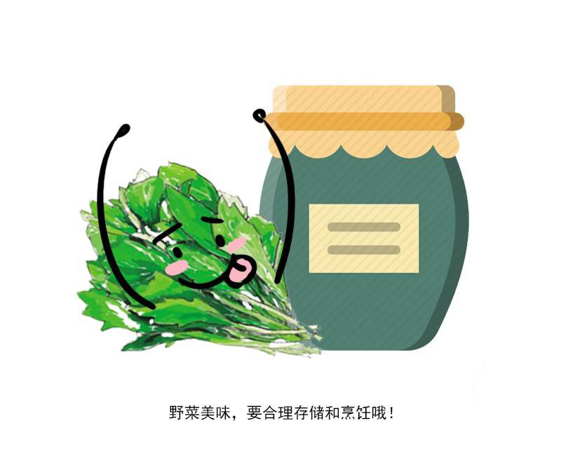 营养成分|春风又绿江南岸!最野的春天,可能就藏在这4道春菜里