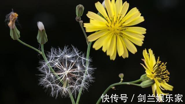 吃素|甲状腺有结节避开2诱因,常喝2水,多吃2物,结节或慢慢变好