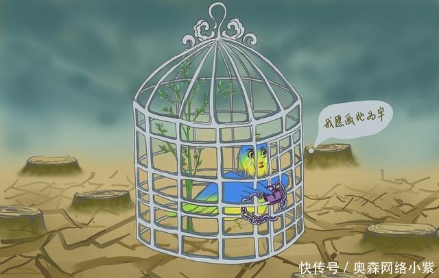 不诛心|法家的理性思考:依法杀人不为暴,依法行赏不为仁!法治不诛心