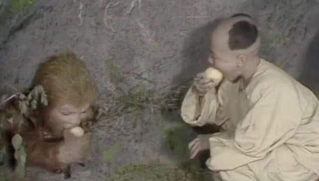 菩提祖师|那个给悟空送桃子的孩子是谁敢跟如来对着杠,原来实力这么强