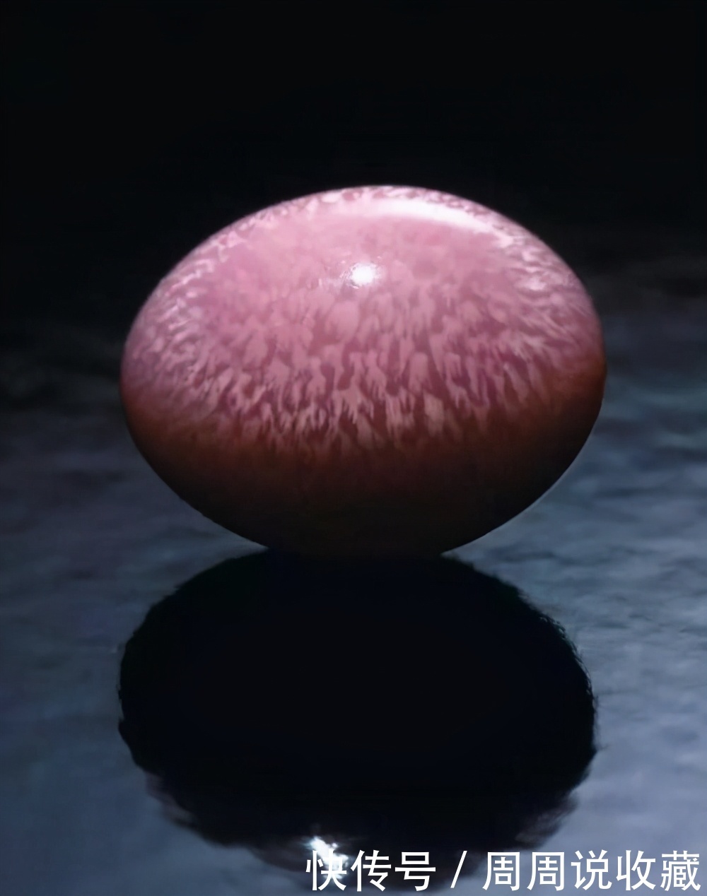 正确|正确选择比钻石还稀有的有机宝石海螺珠