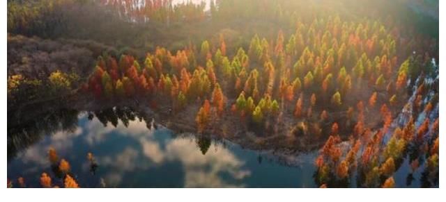 夏日|连续一个月的夏日陪伴,这档电视“青春企划”如何真正打动观众?