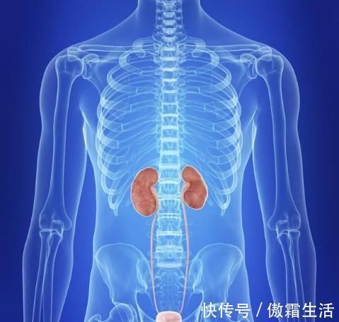 继发性高血压|刚起床血压140,过一会再测量就120,这是高血压吗?要吃药吗?