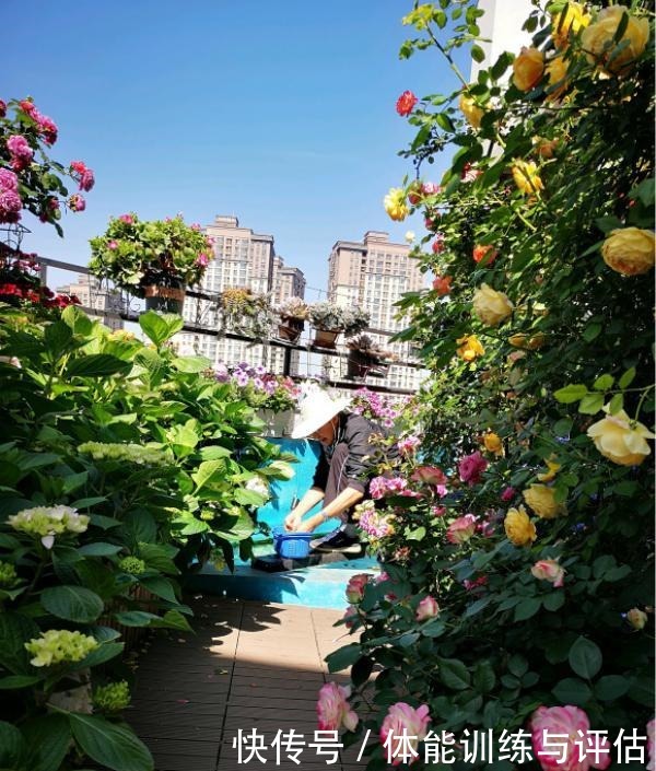 他痴迷养花,露台养了100多盆花,盆盆美爆,惊艳全小区!