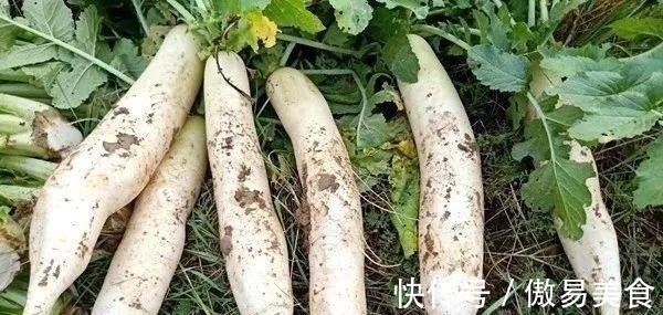 香菜根|这个东西要连皮吃,大病小病都不怕,最便宜的才几元一斤