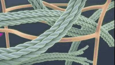 真皮层 热玛吉做完之后皮肤会不会加速衰老?不同年龄段做了热玛吉都会有什么改变?