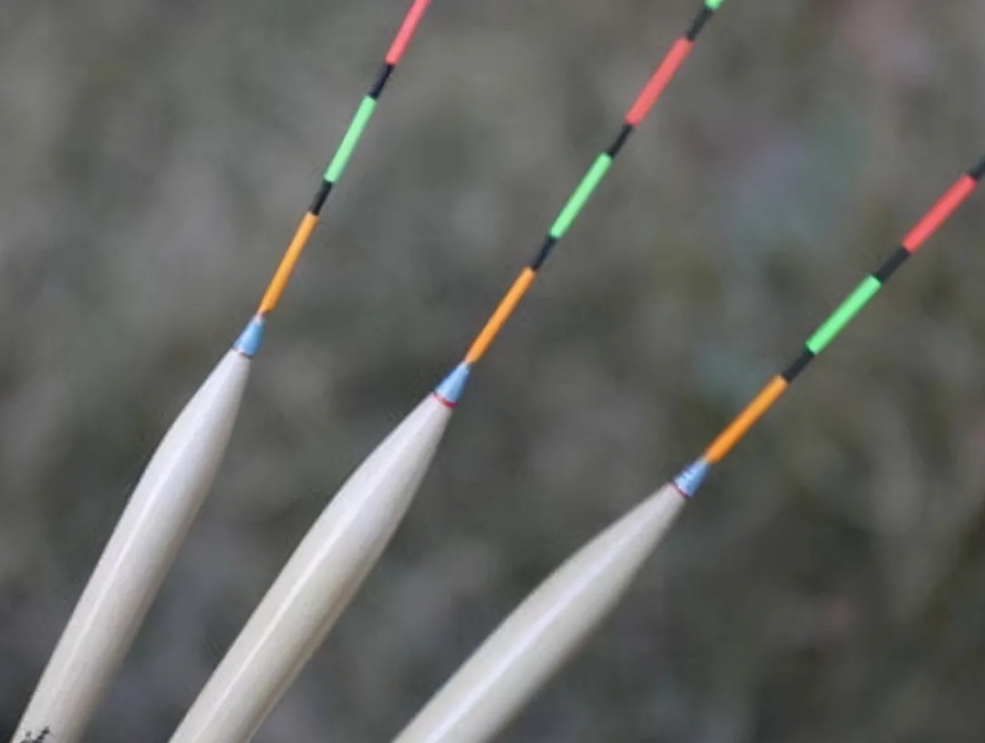 鱼情|钓鱼人的6大错误,改掉它,你离钓鱼高手又近了一步