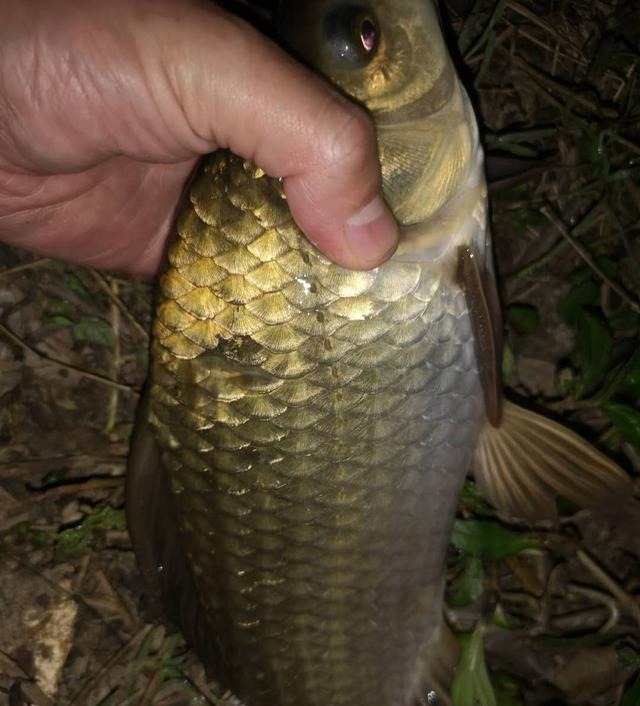 漂相很稳就是打不中鱼?解决起来挺简单,但要排除一个问题