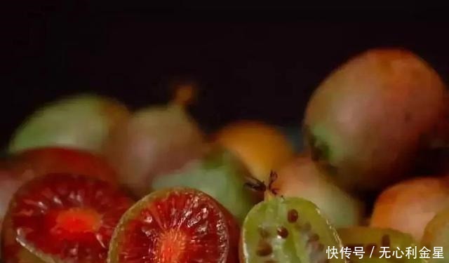 软枣子|若在山上遇到这两个“东西”,请带上锄头再去找找,价值很高!