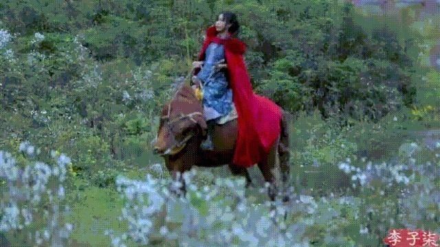 衣服|如果说李子柒的生活对我们不切实际，那她穿的衣服我们倒能学学