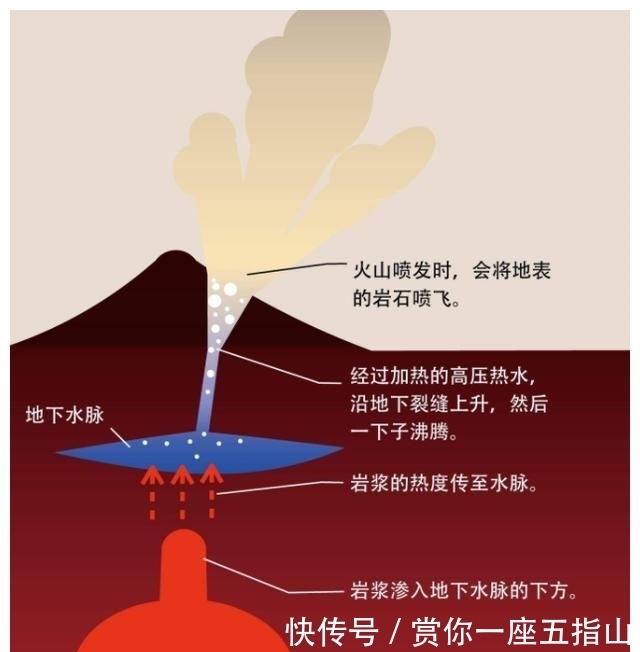 《荷兰人》剧情解说