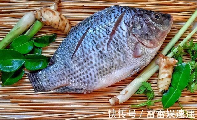 鳕鱼|宝宝吃鱼会变聪明,但吃法有讲究,这4种鱼被列入黑名单,慎吃