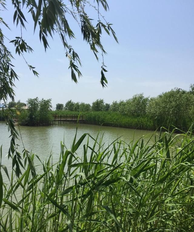 初夏鱼儿已转场，这几种地方比较聚鱼，各种水域都能找到