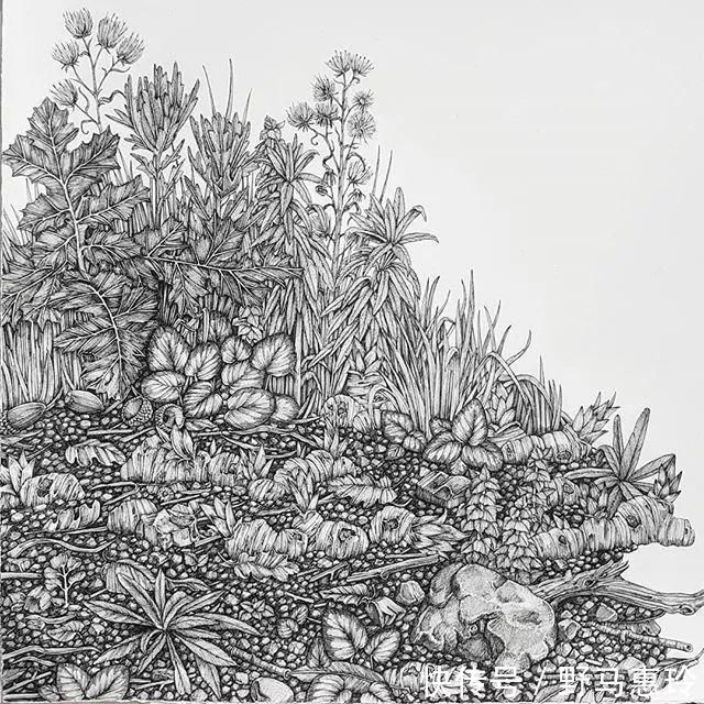 景观#一幅画用掉上百支笔,看到最后成果这么震撼,也就不觉得心疼了