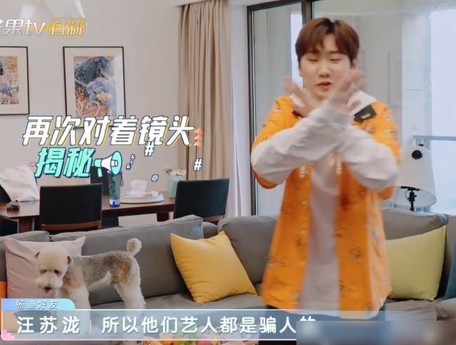 綜藝咖|汪蘇瀧大膽揭露藝人都是騙人的,看到楊迪的表現,真相藏不住了