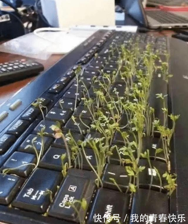 妹子|妹子看了半节课的片结果才发现没有关麦!哈哈哈哈笑到劈叉