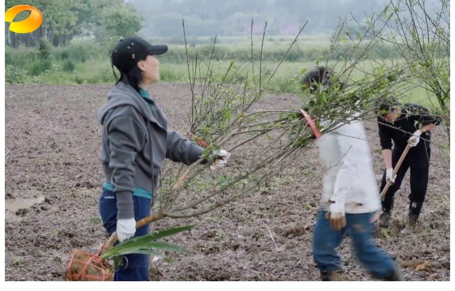 蘑菇|那英问张艺兴“你唱歌跑调吗”，张艺兴回击的方式很高级