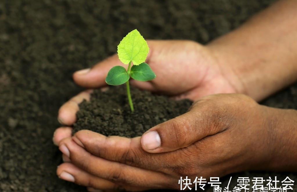 养花换土很麻烦,丢下这种“万能肥”,旧土立刻变新土