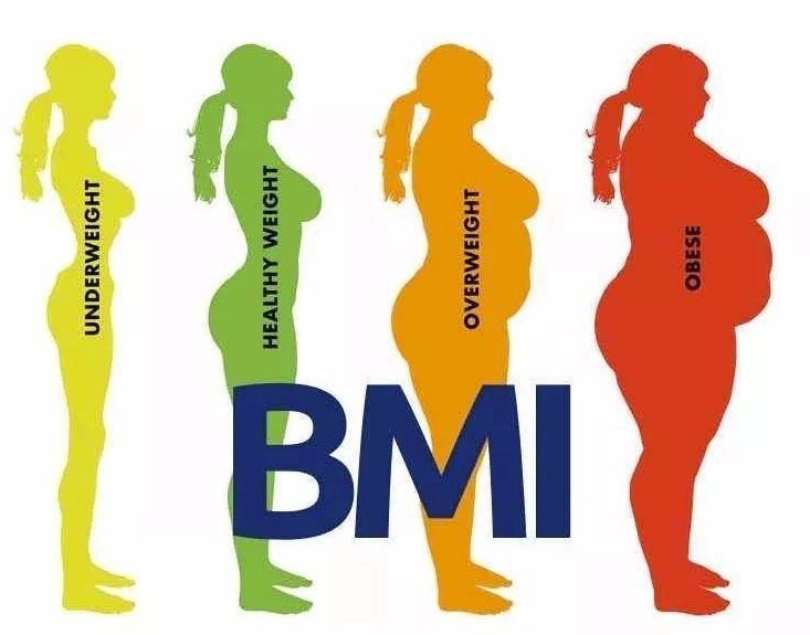 依据|胖瘦标准本有科学依据 无需对秤上的数字过分敏感