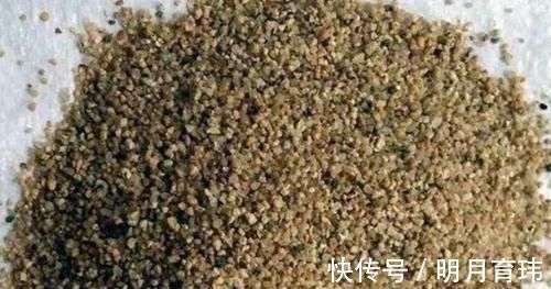土壤|新手养花盆栽土里就掺杂它，土壤不结块，花草不闷根、烂根