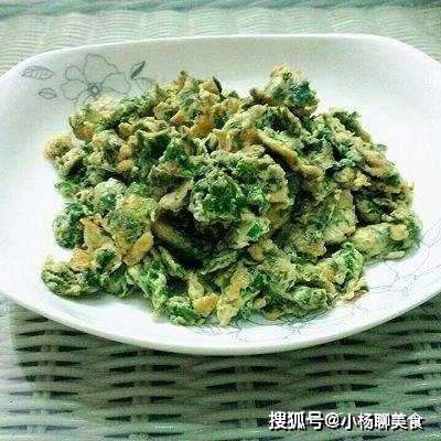 用此叶子炒上两个鸡蛋，营养价值高，比韭菜炒蛋还要好吃，吃过没