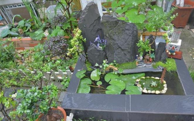 潮湿|住一楼带院子的户型,做好5件事,轻松赶走潮湿