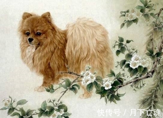 生肖狗|10月下旬，桃花运上升，旧情人归来，3大生肖走出悲伤，满面春风