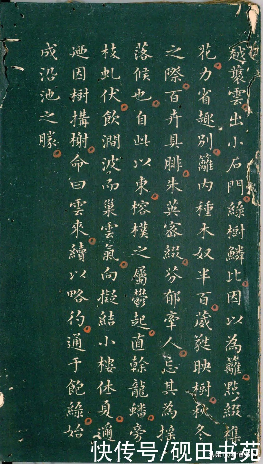 彭汝楠@「书画欣赏」 只看董其昌的《岸圃大观》四个字,就忍不住看完