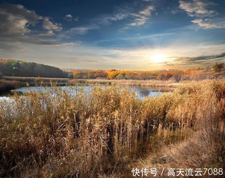 自乐|七绝《渔者自乐》新韵