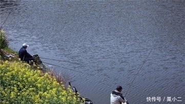 老钓友多年野钓总结的心得体会 和你谈谈饵料、钓具和心里准备