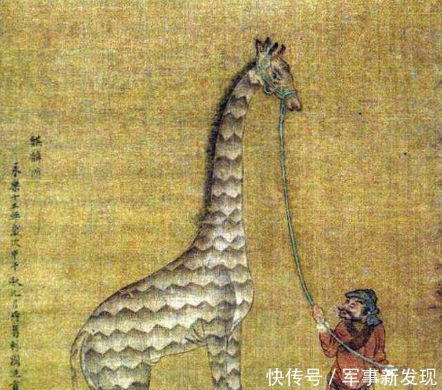 时代|郑和下西洋为什么没有让中国进入海洋时代这是一场亏本的买卖