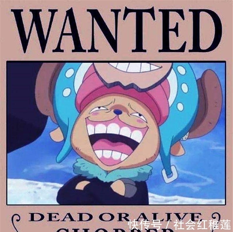 海贼王|海贼王 悬赏低得可怜, 却不怂“四皇级”的5人, 路飞是他100倍