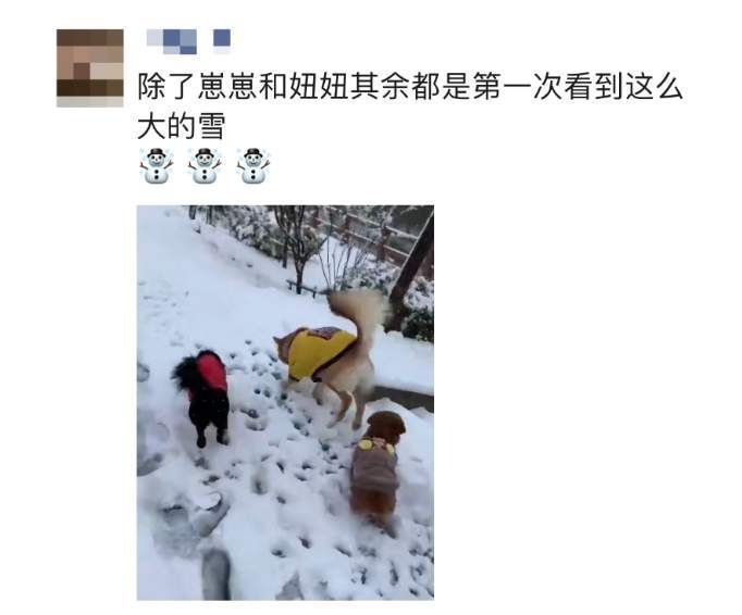 打雪仗|北方人：想不到我也有在朋友圈看南方下雪的一天