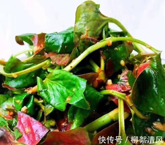 解馋|色香味俱全的几道家常菜推荐，荤素搭配，解馋又开胃！