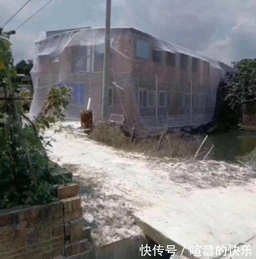 |幽默笑话:老婆肚子不争气,连生八胎,都是姑娘