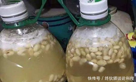 啤酒|什么淘米水、啤酒养花都不如这种水,给花喝一勺,叶子绿,花也多