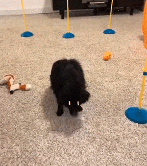 |搞笑GIF:这特效真给我开眼了!法海都不敢收你!