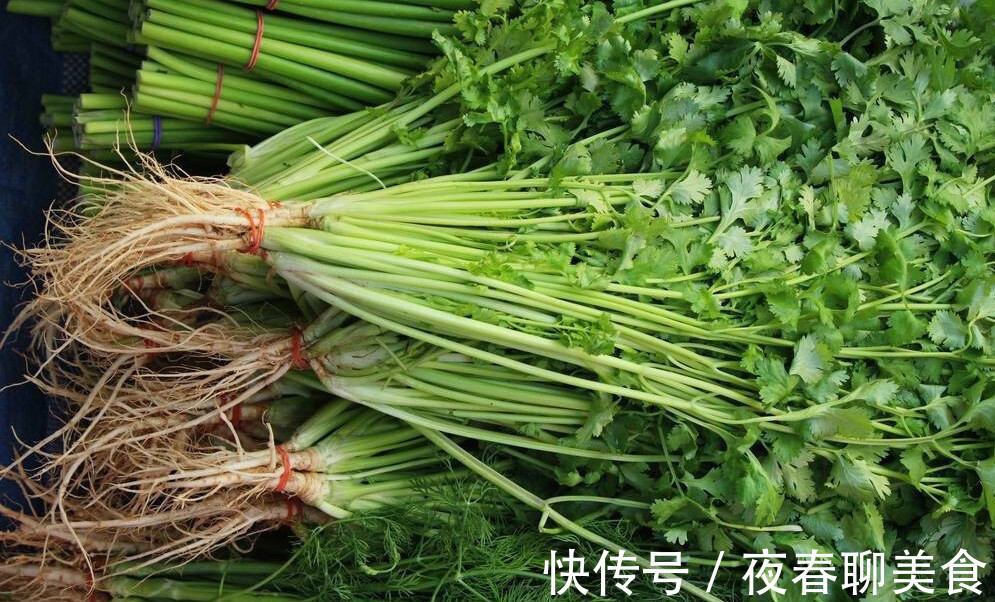 保存香菜有妙招,这3个方法久放不坏,香菜一年买两次就够了