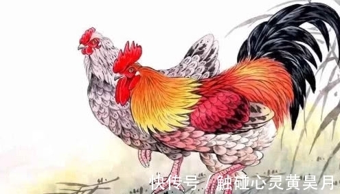 生肖|进入10月,喜讯频传,财运不断,福气深厚的属相