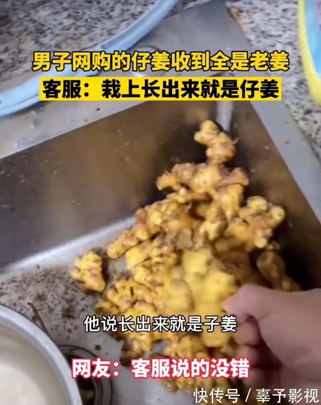 男子|男子想吃仔姜，网店寄来老姜要他自种