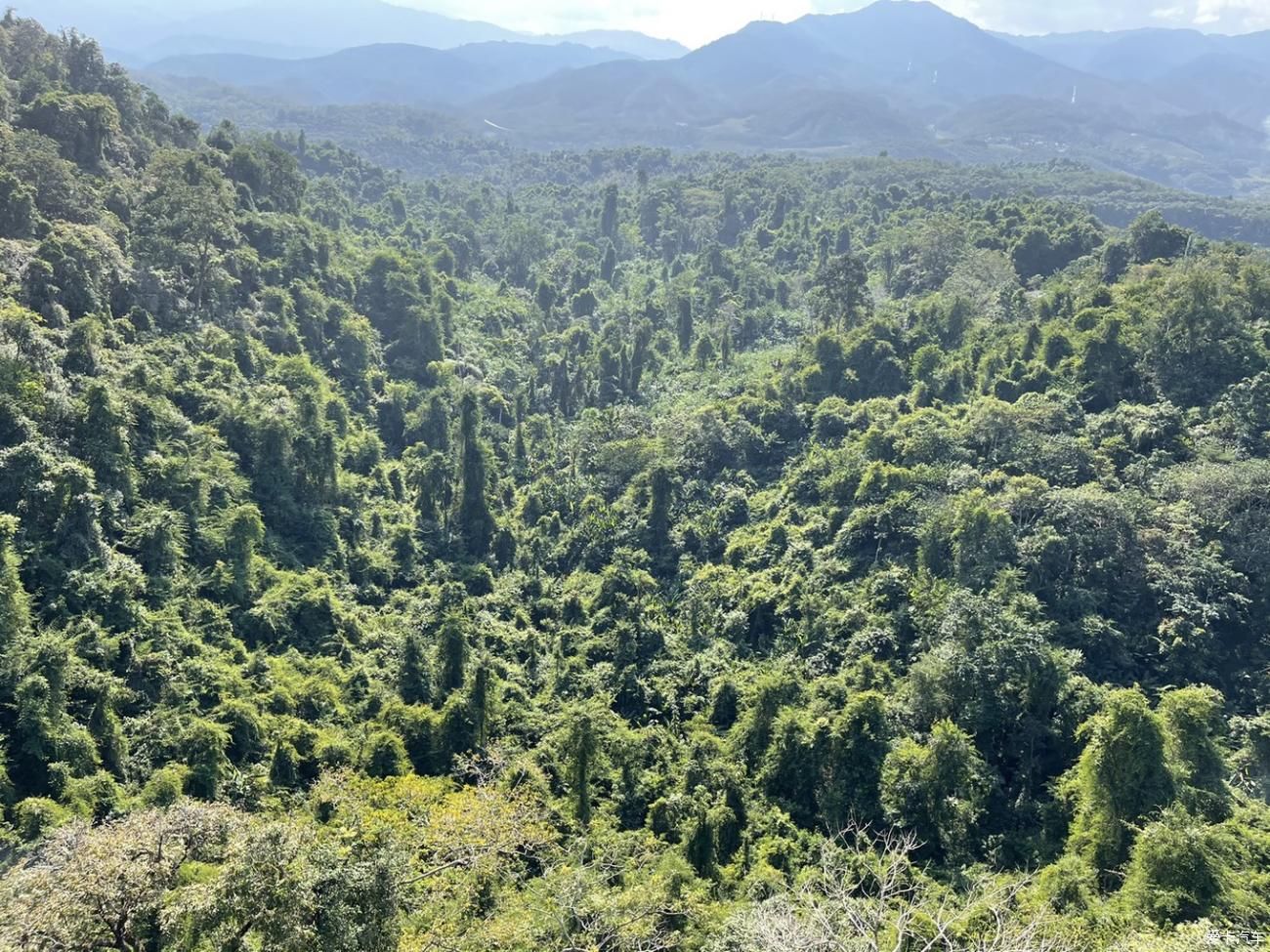 西双版纳之旅，享受不一样的傣族风情。