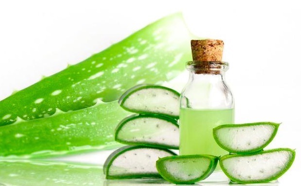 家有芦荟的有福了,用芦荟擦脸的4大好处,皮肤发生的喜人改变