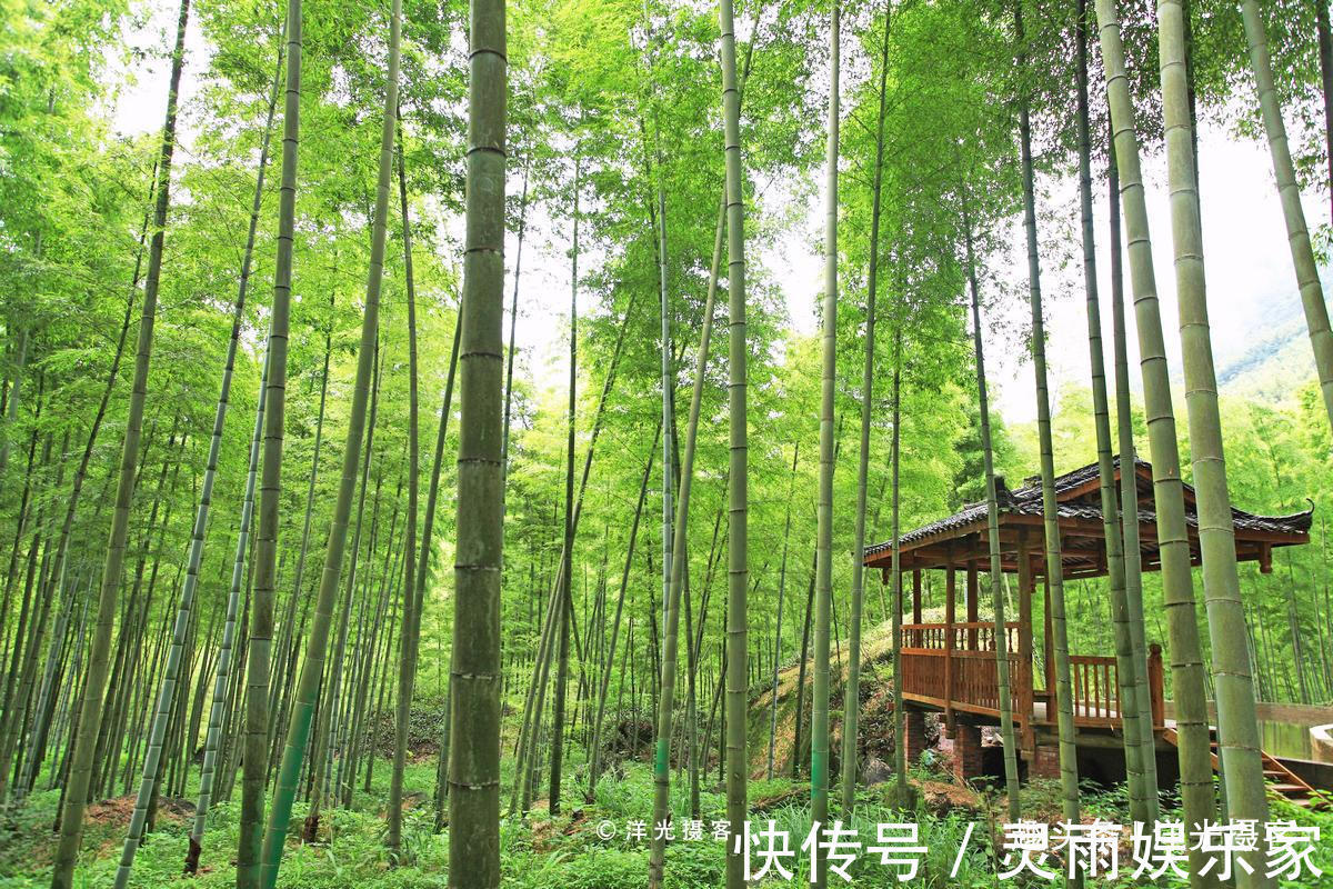 翠竹|这里才是桂林的秘境所在,水如碧玉山如黛