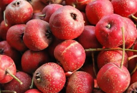 年后,碰到这水果别手软,一次买10斤,放锅中煮一煮,酸甜解腻