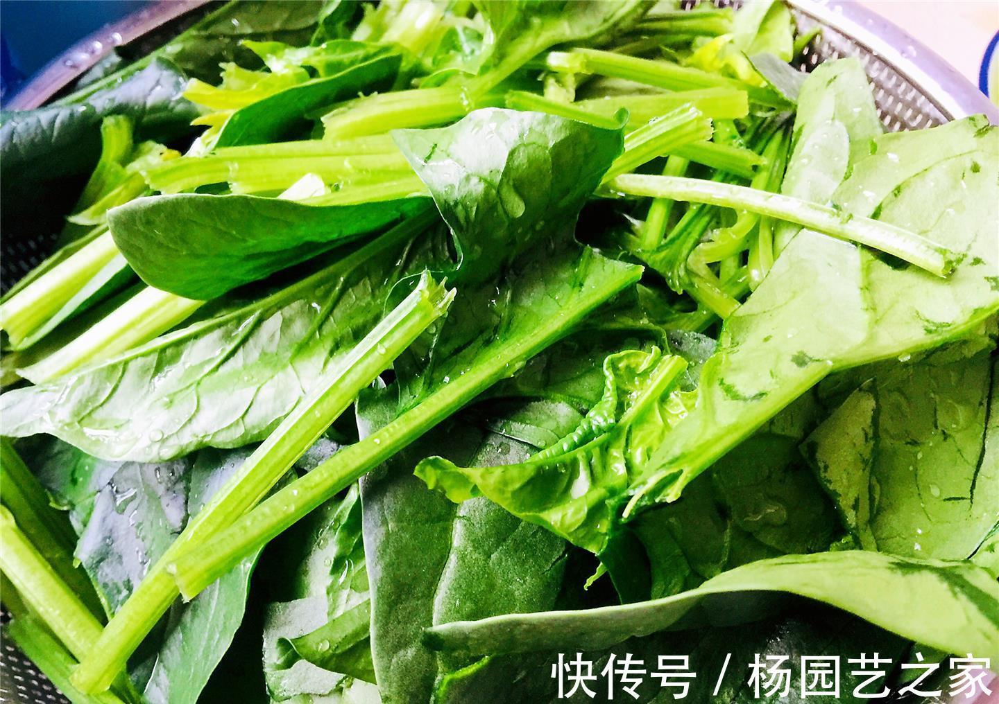 菠菜|秋天，别错过这碱性食物，比吃肉强，5块钱炒一盘，好吃又下饭