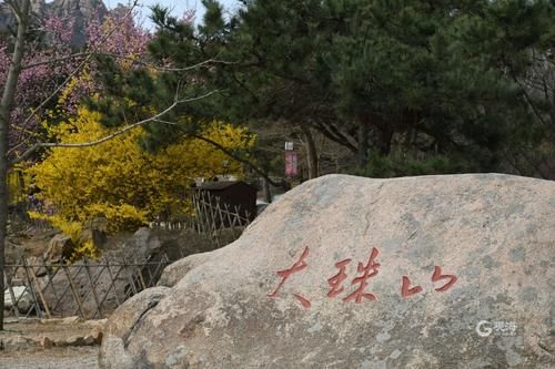 老年|留青过年，这些景区、景点有优惠！还有这些免费！