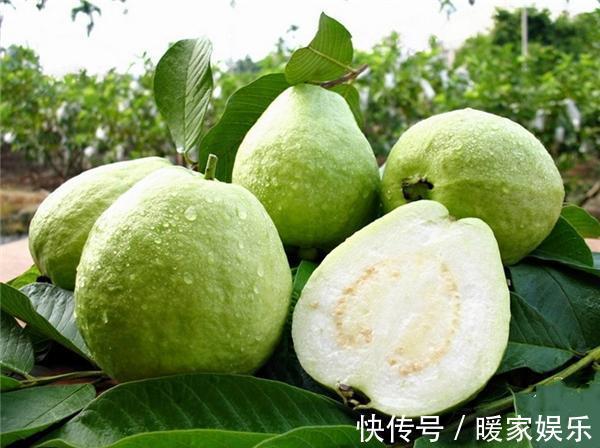 紫甘蓝|女人不补衰老快,多吃3种果蔬,美容养颜,延缓衰老,减肥又塑身