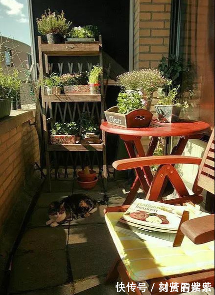 这才是我想要的阳台！种满花，有一个小憩的地方